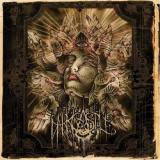 Dark Castle - Surrender to All Life Beyond Form